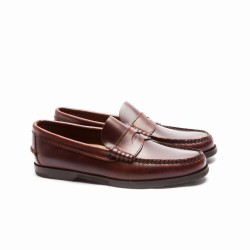 Mocasín antifaz en ciclón sea horse